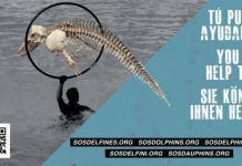 Convocatoria de Prensa. Proyección de “Blackfish”: 10:00 horas, Jueves, 24 de octubre de 2013, Madrid Convocatoria Blackfish 2