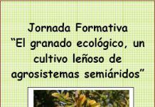 Jornada Formativa “El granado ecológico, un cultivo leñoso de agrosistemas semiáridos” – Elx (Alicante), 12/11/13 seae jornad aformativa