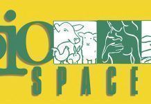 Bio Space, el super bio con mayor oferta en alimentos frescos bio BIO-SPACE web