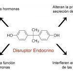 Disruptor endocrino