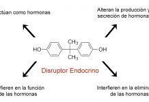 Disruptores endocrinos, la guerra de los expertos, por Ecologistas en Acción Disruptor endocrino