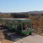 Tren-electrico 2