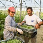 agricultura familiar