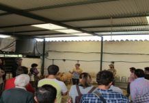 El queso de cabra ecológico tiene un buen potencial en Extremadura image001