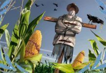 11 países de la UE reclaman la prohibición de los cultivos transgénicos transgenicos ue
