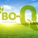 fondo bo-q2