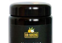 Te matcha bio, de Dr. Goerg matcha-de-coco