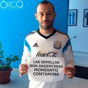 monsanto futbol