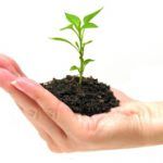 noticia 20140728 comissio-europea-constata-produccio-ecologica-experimenta-etapa-fort-creixement