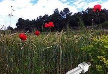 Yo Reciclo: Reciclaje de bombillas y fluorescentes, ¿dónde se depositan? reciclaje de bombillas
