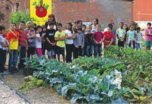 La cultura és bio: Ecoviure a Manresa i Fira del Medi Ambient a Tàrrega ens esperen aquest mes d’octubre cultura es bio cat 2