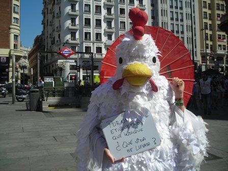 pollo corral