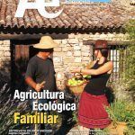 portada revista Ae17 baja-resol