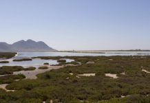 El 95 % de europeos, preocupados por la protección del medio ambiente salinas cabo gata