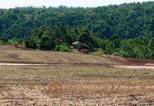 Glifosato: Envenenamiento a escala global south america brazil roundoup
