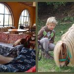 Banner Can Sort – Casa2