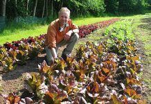 Diferencias significativas entre alimentos orgánicos y no orgánicos alimentos orgánicos alimentación ecológica alimentación eco alimentación bio