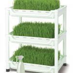 carro-germinacion-hierba-de-trigo-sproutman