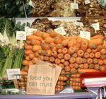 study 2014 carrots