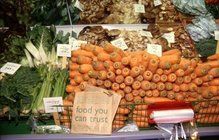 study 2014 carrots