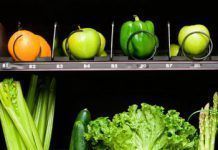 ¿Vending fresco y de temporada?, por Javier Guzmán, director de VSF Justicia Alimentaria Global vending2