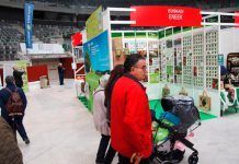 La feria ecológica vitoriana BioAraba registró cerca de 30.000 visitantes Bioaraba-2014-stands
