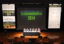El sector vitivinícola puede asumir el reto de liderar un nuevo escenario legislativo en materia de vinos ecológicos para proteger el medio ambiente DSC 3847