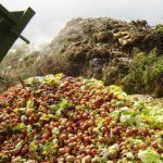 FAO-pide-reducir-desperdicio-de-alimentos large