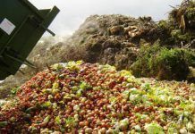 La FAO demana reduir el malbaratament d’aliments a l’Amèrica Llatina i el Carib FAO-pide-reducir-desperdicio-de-alimentos large