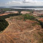 La-deforestacion-amazonica-en-Brasil-crece-un-467 large