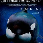 ballens y delfines