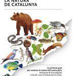 guia practica catalunya