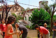 MamaTerra: Los huertos urbanos como fuente de salud pública NOTICIA MAMATERRA Huerto Social WEB2