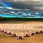 agricultura industrial