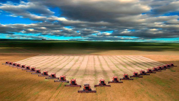 agricultura industrial