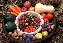 La importancia de los minerales para nuestra salud frutanuecesverdurasweb