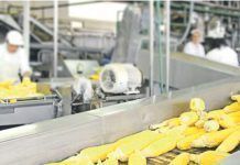 La industria alimentaria contra los alimentos ecológicos La industria alimentaria contra los alimentos ecológicos