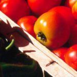 pimentos tomates