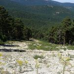 pistas verano