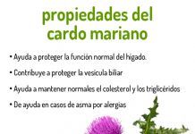 Propiedades del Cardo Mariano 21 ene 2015 ig