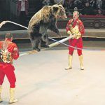 circos animales