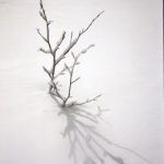 nieve-Pirineos-