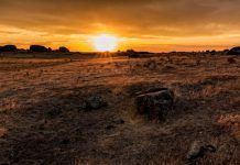 2014 va trencar el rècord i es va convertir en l’any més calent registrat a la Terra sol-960x623