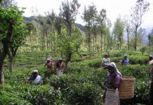 El Comercio Justo genera oportunidades para los sectores sociales más desfavorecidos SOFA-Sri-Lanka-red-400x300