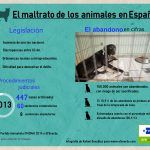 InfografaMaltratoAnimal
