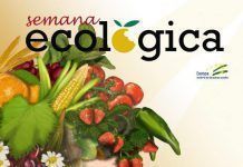 Ecovalia-CAAE pone en marcha una nueva edición de la Semana Ecológica cartelsemanaecologicamontajebajacalid