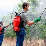 contaminantes hormonales recrotafdo