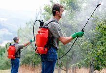 5 medidas para reducir la exposición a los contaminantes hormonales contaminantes hormonales recrotafdo