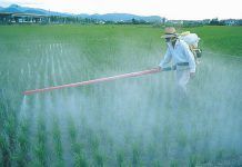L’OMS classifica en la segona categoria de toxicitat cancerigènica l’herbicida glifosat Austrian parliament backs EU's first total ban of weedkiller glyphosate