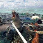 residuso un desastre la mar de grnade